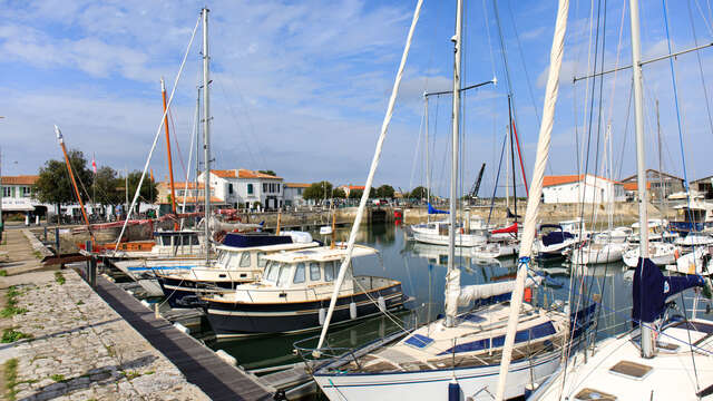 La ruta gastronómica de la Isla Norte en bicicleta
