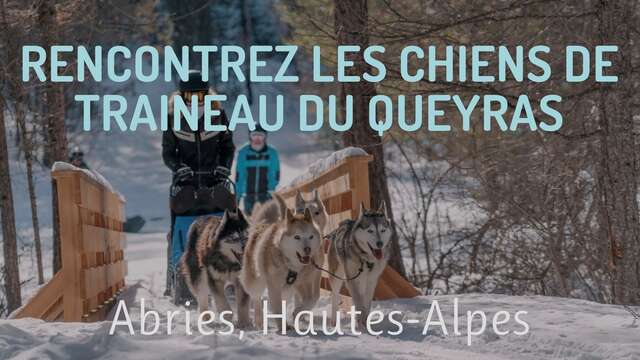 Baptême chiens de traineaux