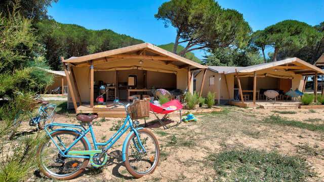 Stay in Cotton (canvas and wood)