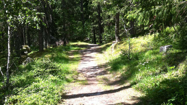 Petit Balcon Nord : Argentière - Les Bois