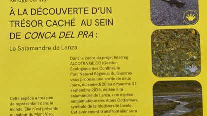 A la découverte d'un trésor caché au sein de Conca del Pra : la Salamandre de Lanza
