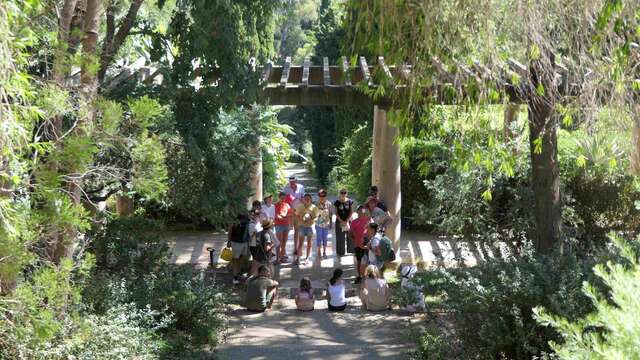 Visite guidée du Jardin des Méditerranées