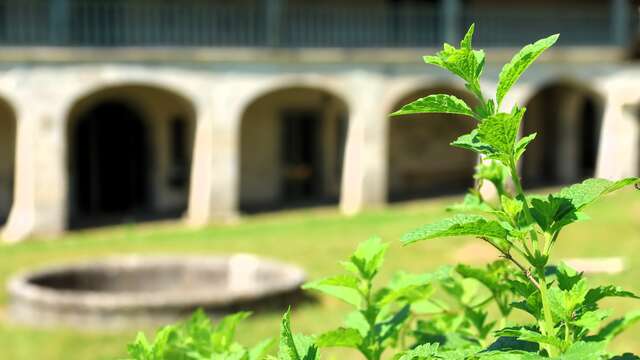 Visite guidée archéo