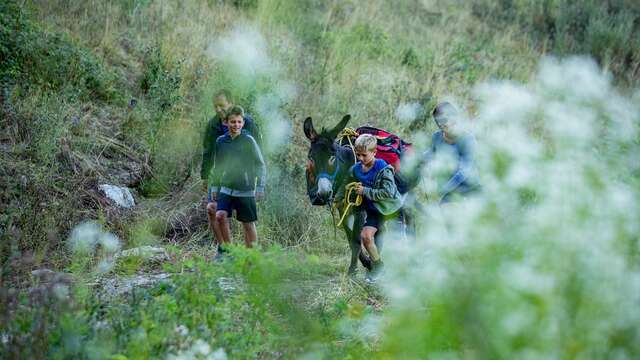 Les Bauges et les ânes en contes et légendes