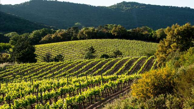 Domaine Val d'Astier