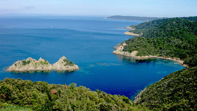 Point Rencontre - Retrait de Côte, Changements Globaux et Microplastiques