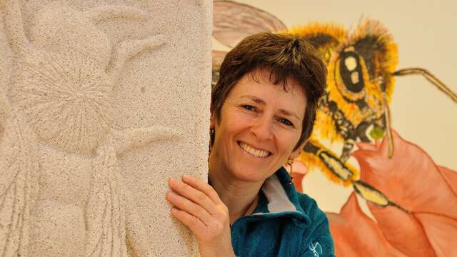 La Ruche - Docteur l'Abeille