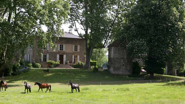 Domaine La bonne Etoile