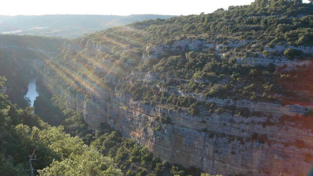 Guided walk on the path of the Baudinard Gorges and Botanical Trail.