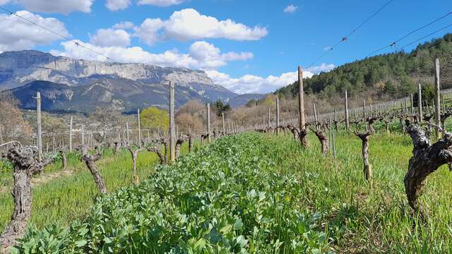 De Ferme en Ferme -Domaine du l'Ubac