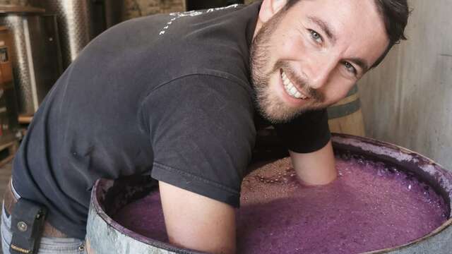 Mas des Escarades (Groups & Seminars)