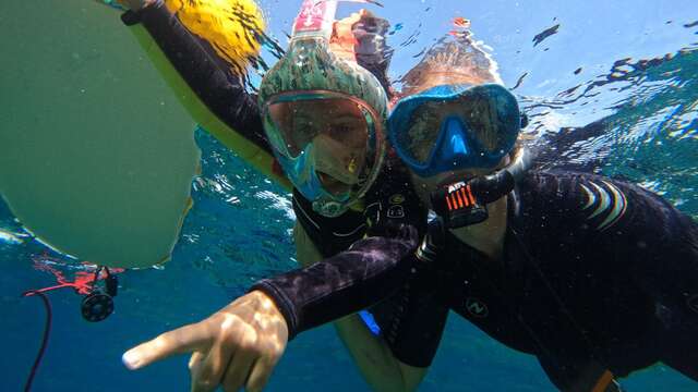 Sortie en mer à la journée avec Sanary Snorkeling