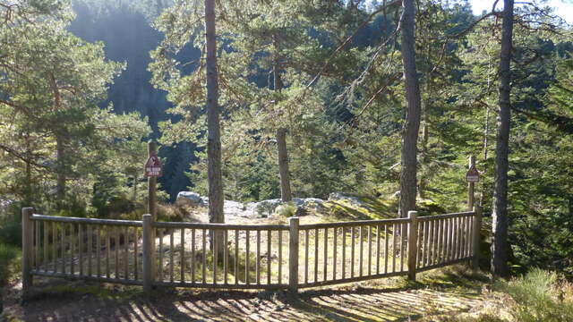 Sentier d'interprétation - Le Géant de Taillard - boucles de 7.7 ou 10 km