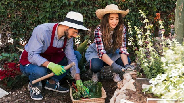 Come and visit my garden - Cervens