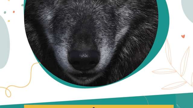 Exposition - Le grand méchant loup...