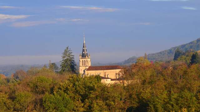 Circuit VTT n°11 (bleu) - Tour de la Forêt de la Motte  - Site du Grand Brûle