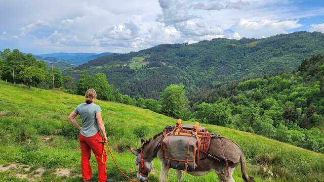 Randonnée accompagnée avec âne - Les Échappées Estivales