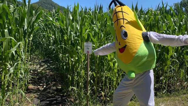 Labyrinthe maïs de Bassignac