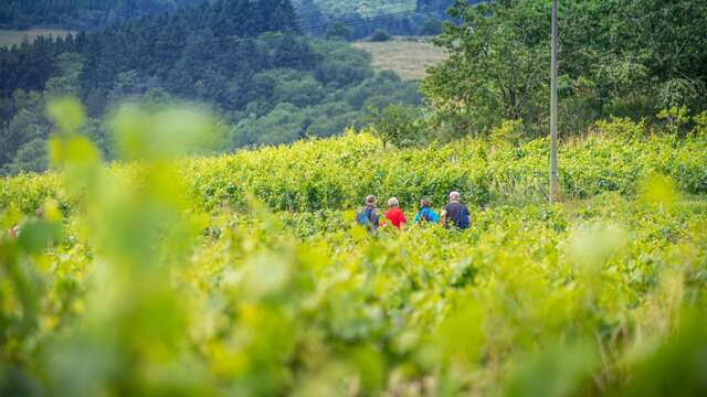 Balade Gourmande en Côte Roannaise dimanche 5 juillet 2026