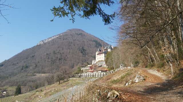 La Boucle du Château de Menthon Saint-Bernard - Cascades de Montviard