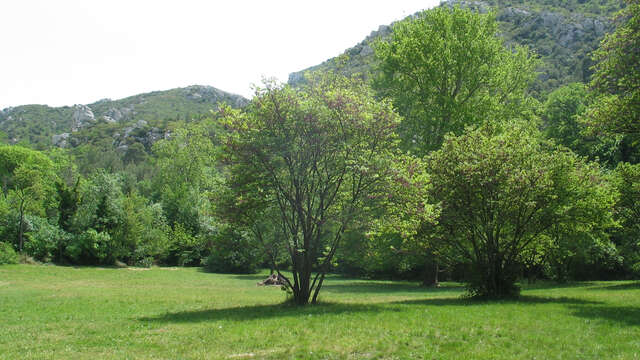 Parc Départemental de Saint Pons