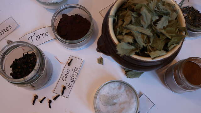 Atelier des sorciers 7