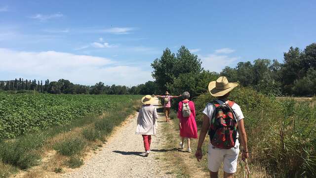 Along the Rhône