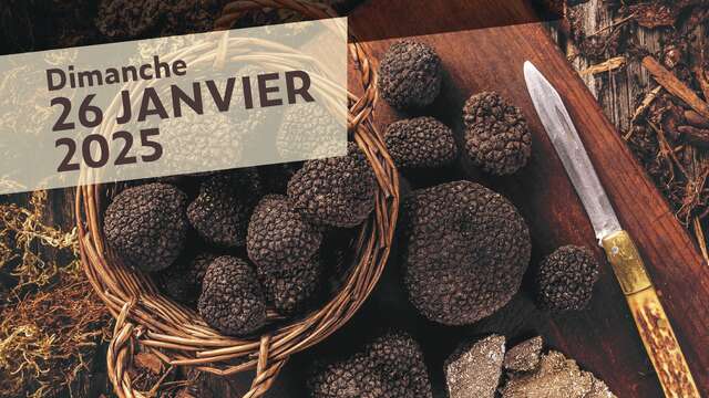 Fête de la truffe aux Halles