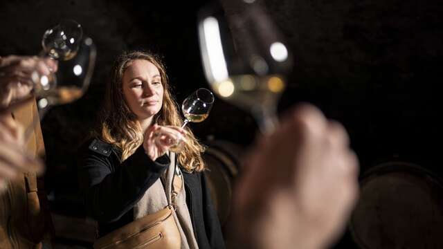 Culture et Vins au Domaine Anthony Paret