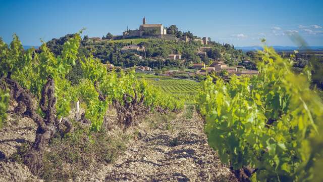 Bottle trail in Cairanne