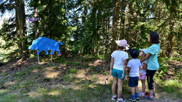 Tier-Parcours „Versteckspiel der Tiere"