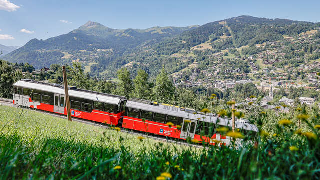 Parcours VTT n°3 _  A la découverte du Tramway du Mont-Blanc - ROUGE