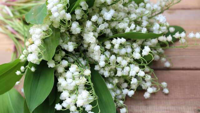 Vente de muguet et de bugnes pour le 1er mai