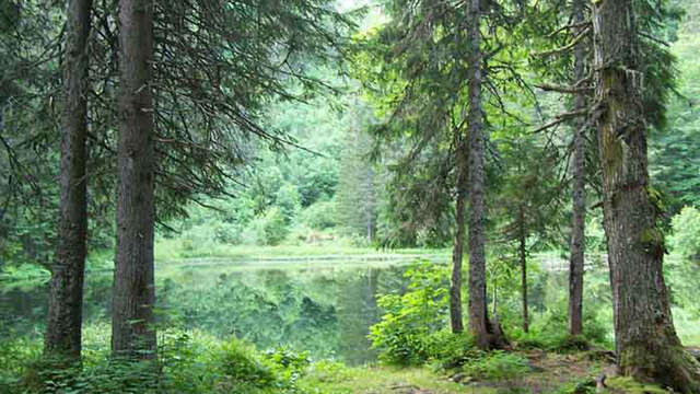 Le lac de Petétoz