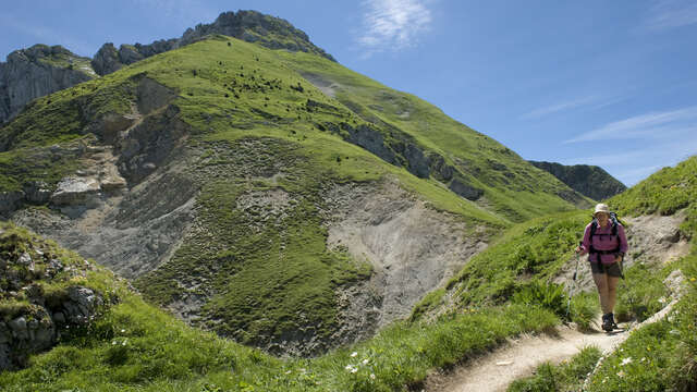 Le mont Trélod