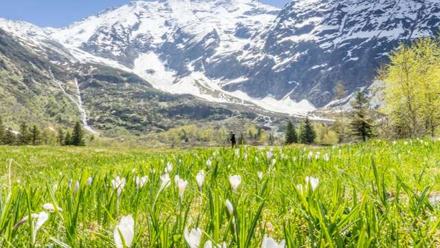Hiking Conference: History and Heritage of the Miage Valley - Nature Film Festival