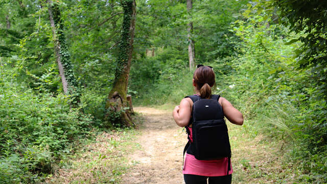 En balade à Champos et au bois de Sizay