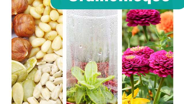 Jardinothèque & Grainothèque