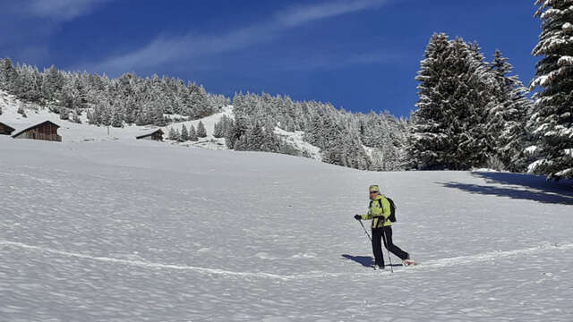 Les balcons sud de Bisanne