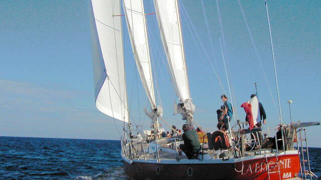 1/2-Tages-Ausflug auf einem Segelboot