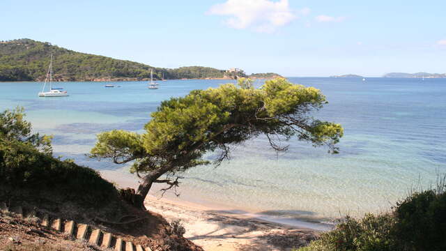 Navettes vers l'Île de Porquerolles - Vedettes Îles d'Or et Le Corsaire