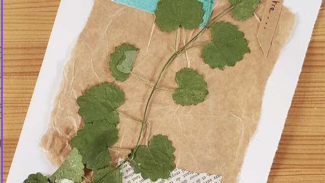 Atelier : L'herbier curieux