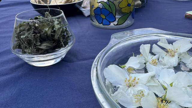 Afterwork : Apér'ô VIP au Château !