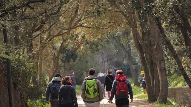 Point Rencontre : La Biodiversité qui se cuisine - Ile de Porquerolles
