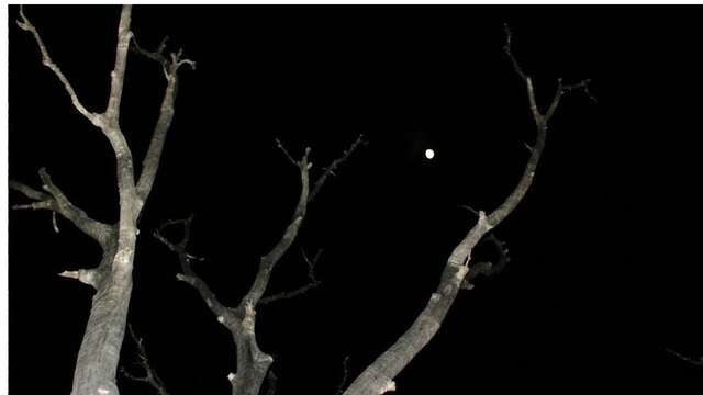 Canoë canadien- Pleine lune à la Rivière Bleue - Sud Loisirs