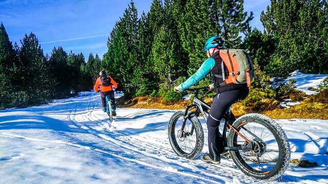 VTT à assistance électrique avec Le Petit Plateau