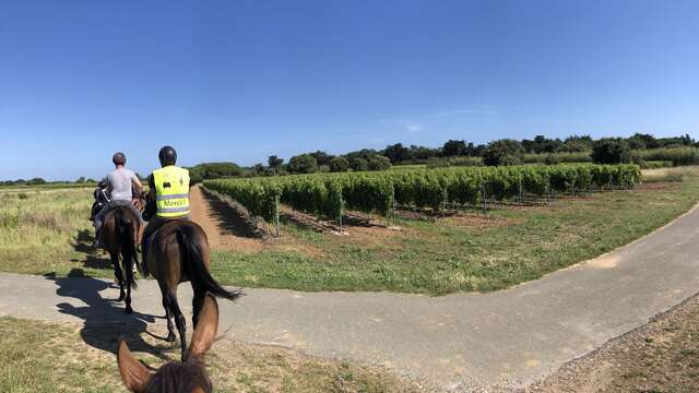 Balade à cheval et dégustation accompagnée de produits locaux par la Cave Coopérative