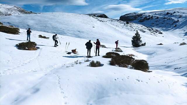 Rando raquettes sur la falaise de Ceüse - Autres Versants