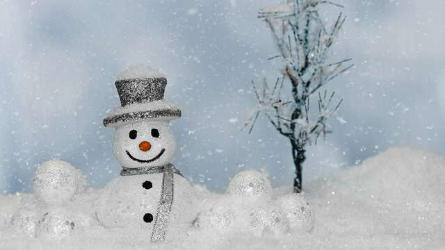 Concours Bonhommes de neige