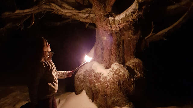 Diner soirée insolite